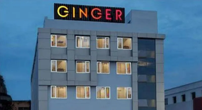 Ginger Patna