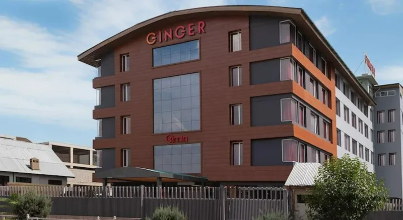 Ginger Srinagar, Barzulla