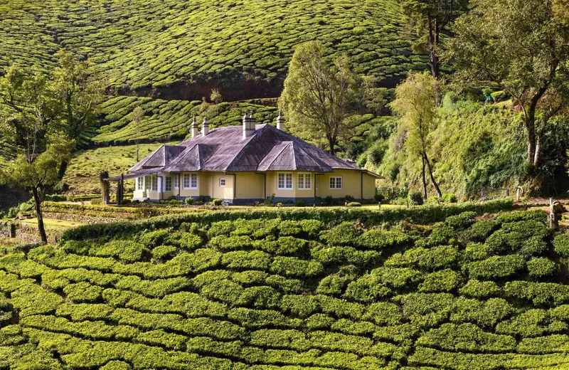 Sholamallay Bungalow