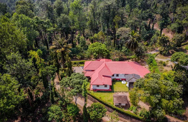 Surgi Bungalow