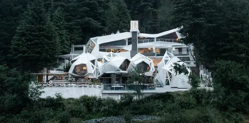 Tree of Life Eila Art Hotel, Manali